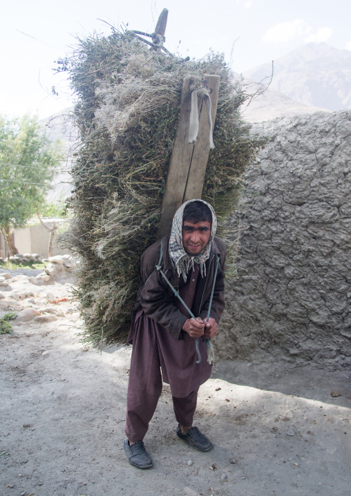 Afghan farmer fcarrying grass for the cows, Badakhshan province, Qazi deh, Afghanistan