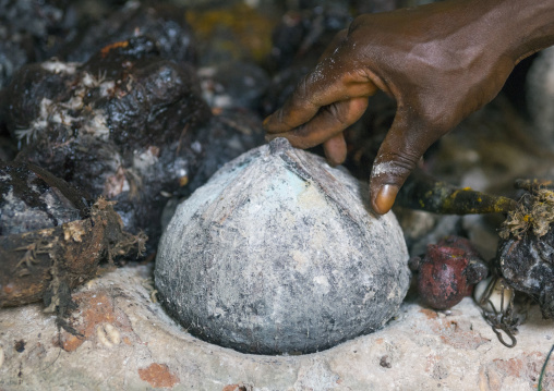 Benin, West Africa, Bonhicon, kagbanon bebe voodoo priest during a ceremony