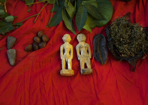 Benin, West Africa, Bonhicon, statutes used for a voodoo ceremony