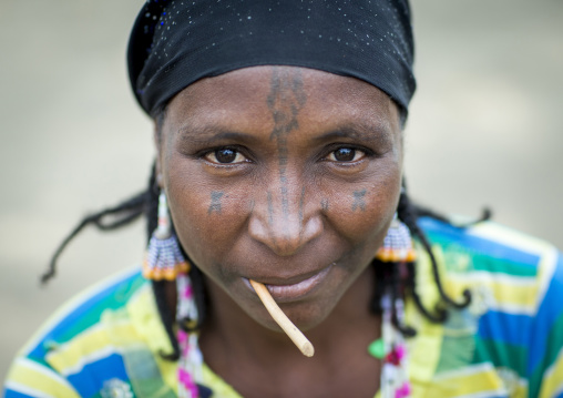 Benin, West Africa, Gossoue, a beautiful tattooed fulani peul tribe woman portrait