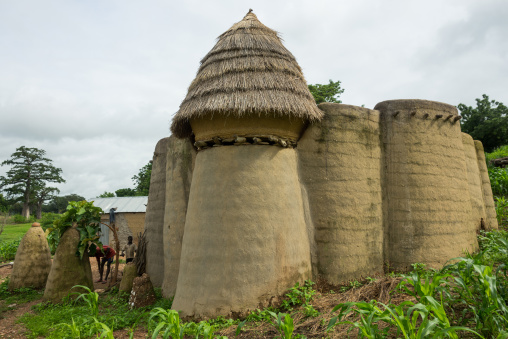 Togo, West Africa, Nadoba, traditional tata somba houses with thatched roofs and granaries