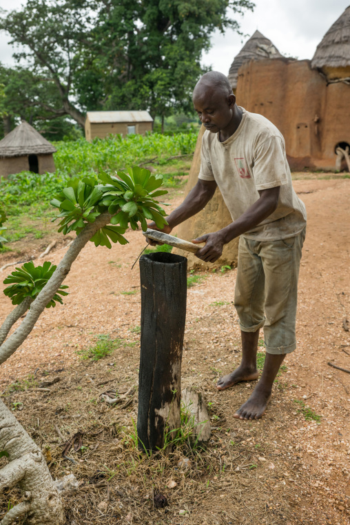 Togo, West Africa, Nadoba, magic voodoo trunk used to cure the snakes bites