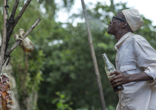 Benin, West Africa, Dankoly, a priest spitting coca cola on a voodoo shrine to make an offering to the spirits