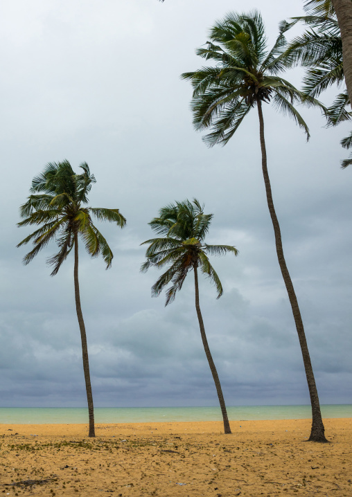 Benin, West Africa, Ouidah, ouidah cotonou road on the slave coast