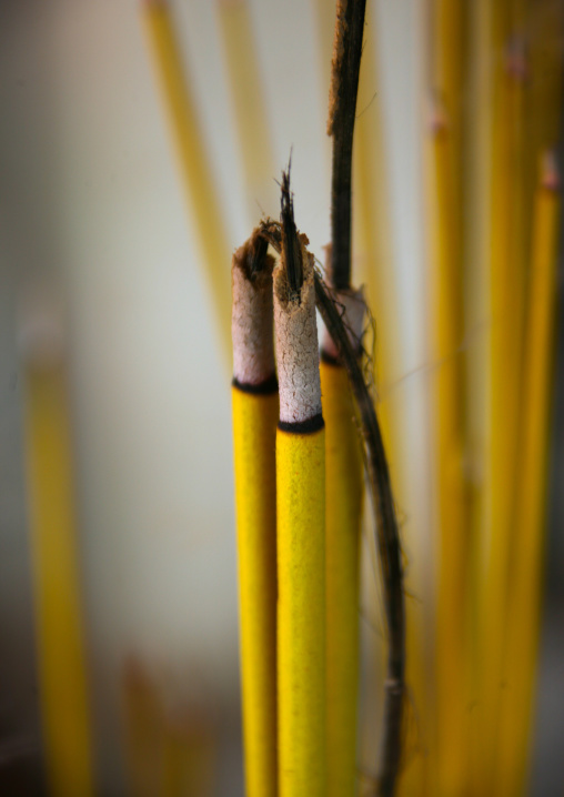 Incense sticks burning, Phnom Penh province, Phnom Penh, Cambodia