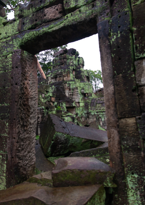 Old ruins of a temple in Angkor wat, Siem Reap Province, Angkor, Cambodia