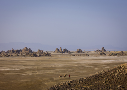 Afar Man And His Camels, Lake Abbe, Djibouti