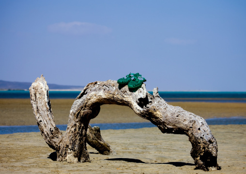 Man On Caral, Obock, Djibouti