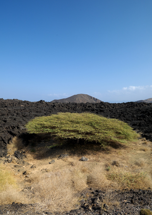 Lava Around Tadjourah, Djibouti