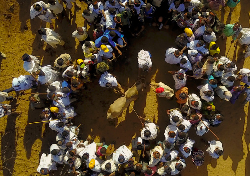 Aerial view of the slaughter of a bull during the Gada system ceremony in Borana tribe, Oromia, Yabelo, Ethiopia