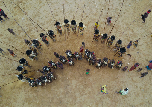 Aerial view of dimi ceremony in the Dassanech tribe to celebrate circumcision of teenagers, Omo Valley, Omorate, Ethiopia