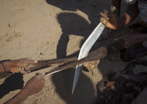 Close Up On The Cutting Of The Skin Of A Slaughtered Cow By Karrayyu Tribe Men To Make Ropes During Gadaaa Ceremony, Metahara, Ethiopia