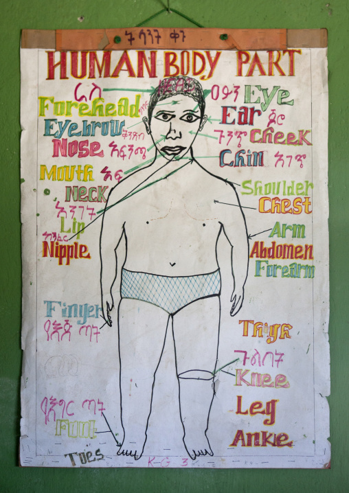 Human Body Parts Chart In Shashemene Jamaican School, Oromia Region, Ethiopia