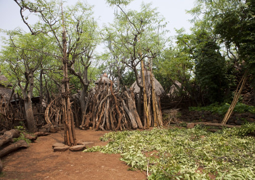 Picket Fence Around Konso Village Southern Ethiopia