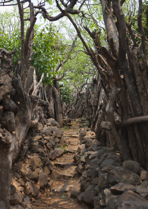 Konso Village Alley Made Up With Stones And Picket Fence Ethiopia