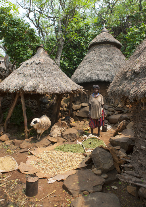 Konso Woman In A Courtyard Surrounded By Drying Plants And Sheep, Ethiopia