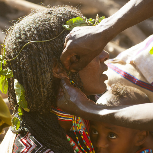 Karrayyu Tribe Woman From Abdicating Clan Having Her Ears Pierced With A Thorn Of Agamsa During Gadaaa Ceremony, Metehara, Ethiopia