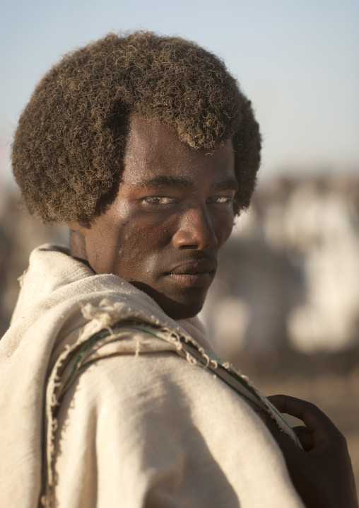 Portrait Of A Karrayyu Tribe Man With His Gunfura Traditional Hairstyle Covered With Dust During Gadaaa Ceremony, Metehara, Ethiopia