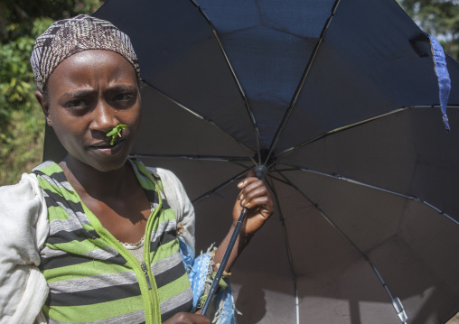 Woman With Medicinal Herb In The Nose, Tepi Market, Ethiopia