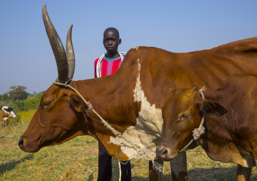 Nuer Tribe Livestock And Catlle Market, Gambela, Ethiopia