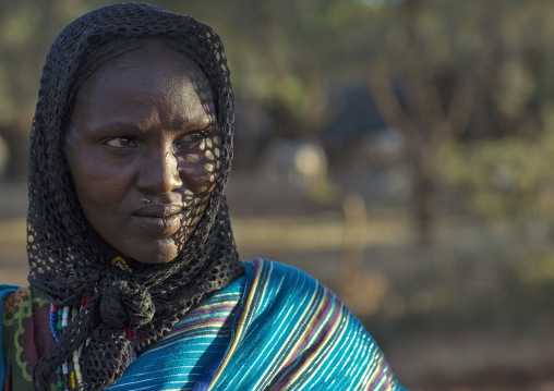 Borana Tribe Woman, Yabelo, Ethiopia