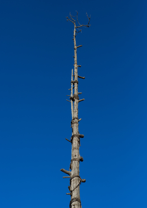 Generation Pole, On The Ceremonial Square, Erected During Initiation Ceremonies Konso Village, Southern Ethiopia