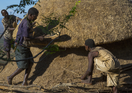 Konso Tribe Men Building A Mora, The Common House, Konso Village, Omo Valley, Ethiopia