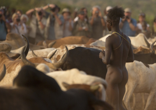 tourists watching a Bashada Tribe Man Jumper During A Bull Jumping Ceremony, Dimeka, Omo Valley, Ethiopia