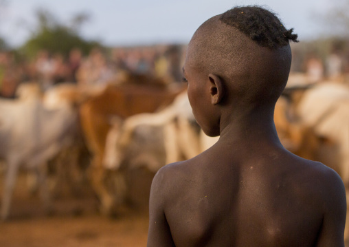 Bashada Tribe During A Bull Jumping Ceremony, Dimeka, Omo Valley, Ethiopia