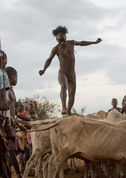 Bashada Tribe Man Jumping Above Cows During A Bull Jumping Ceremony, Dimeka, Omo Valley, Ethiopia