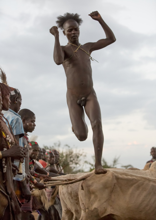 Bashada Tribe Man Jumping Above Cows During A Bull Jumping Ceremony, Dimeka, Omo Valley, Ethiopia