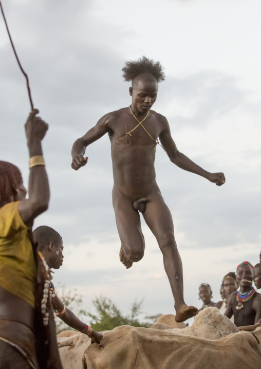 Bashada Tribe Man Jumping Above Cows During A Bull Jumping Ceremony, Dimeka, Omo Valley, Ethiopia