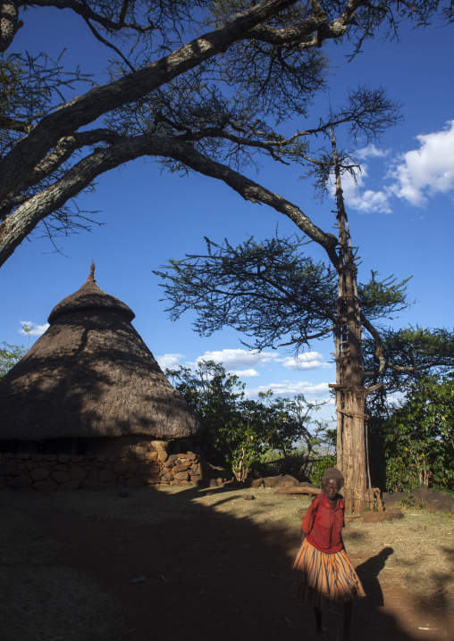 Generation Pole, On The Ceremonial Square, Erected During Initiation Ceremonies Konso Village, Southern Ethiopia