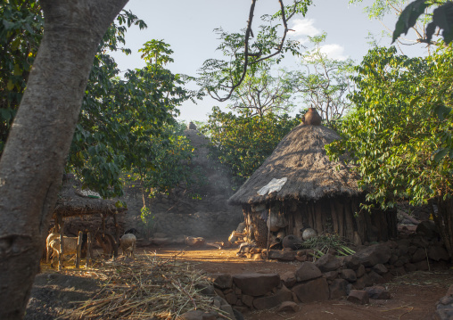 Konso Tribe Traditional Houses With Pots On The Top, Konso, Omo Valley, Ethiopia