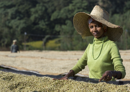 Worker In Front Of White Coffee Beans Drying In The Sun In A Fair Trade Coffee Farm, Jimma, Ethiopia