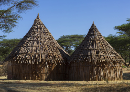 Traditional Village In Borana Tribe, Ola Alakadjilo, Ethiopia