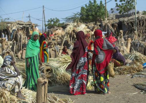 Assayta Afar Market, Ethiopia