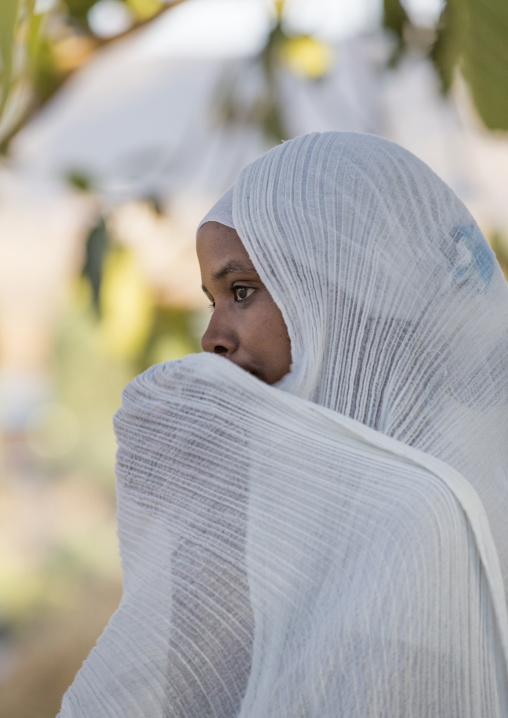 Pilgrim At Timkat Festival, Lalibela, Ethiopia