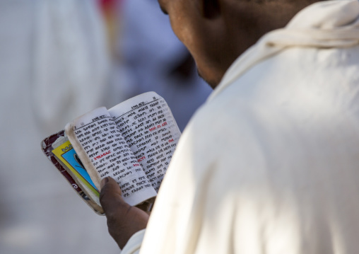 Orthodox Pilgrim Reading The Bible At Timkat Festival, Lalibela, Ethiopia