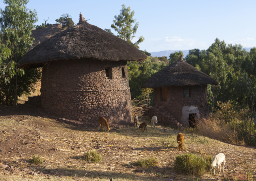 Traditional Houses, Lalibela, Ethiopia