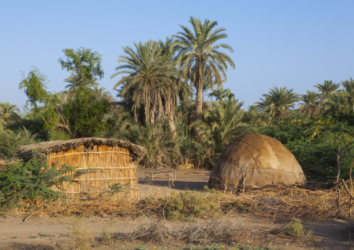 Afar Tribe Homesteads, Afambo, Ethiopia