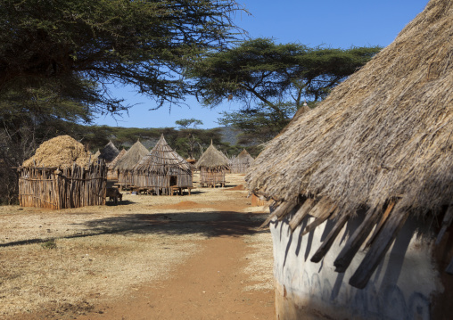 Traditional Village In Borana Tribe, Ola Alakadjilo, Ethiopia