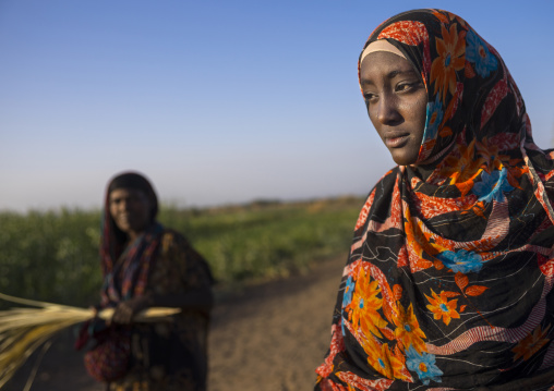 Afar Tribe Women, Afambo, Afar Regional State, Ethiopia