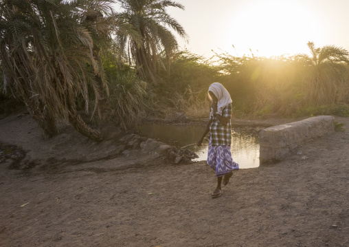 Afar Tribe Man In The Sunset, Afambo, Ethiopia