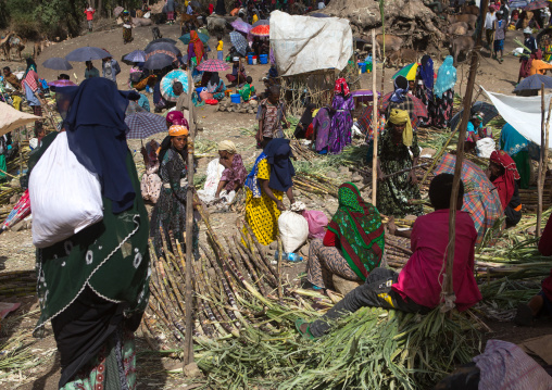 Women in burqa on a market, Oromo, Sambate, Ethiopia