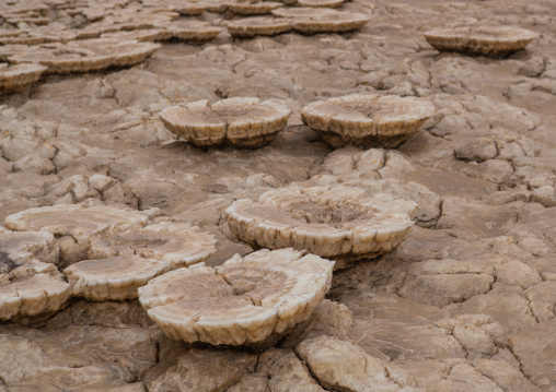 Volcanic formations of dallol in the danakil depression, Afar region, Dallol, Ethiopia