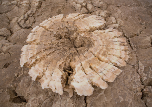 Volcanic formations of dallol in the danakil depression, Afar region, Dallol, Ethiopia