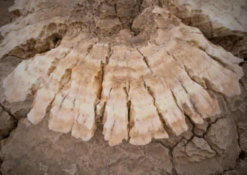 Volcanic formations of dallol in the danakil depression, Afar region, Dallol, Ethiopia