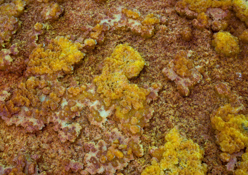 The colorful potassium salt crust formed by hot springs in the danakil depression, Afar region, Dallol, Ethiopia