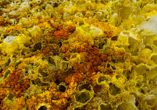 The colorful potassium salt crust formed by hot springs in the danakil depression, Afar region, Dallol, Ethiopia